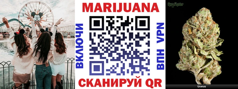 APVP Барнаул