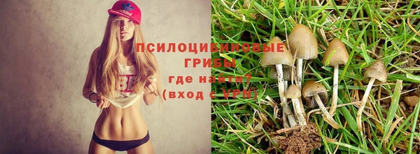 трава Абаза