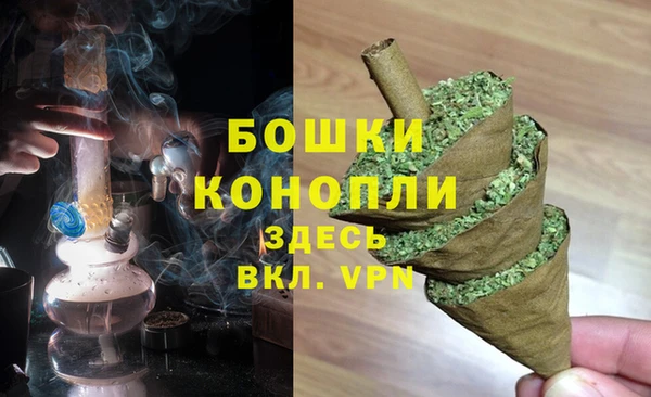 PSILOCYBIN Болотное