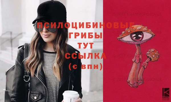 первитин Няндома