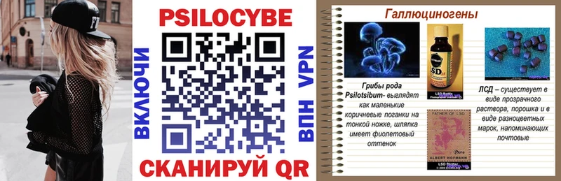 Псилоцибиновые грибы GOLDEN TEACHER Барнаул